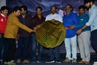 Sanjeevani Movie Audio Launch